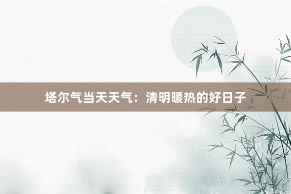 塔尔气当天天气：清明暖热的好日子