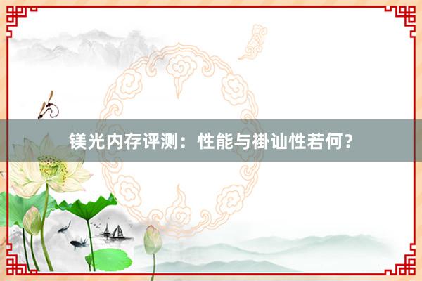 镁光内存评测：性能与褂讪性若何？